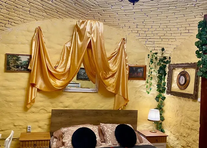 酒店 Chateau Vincze *